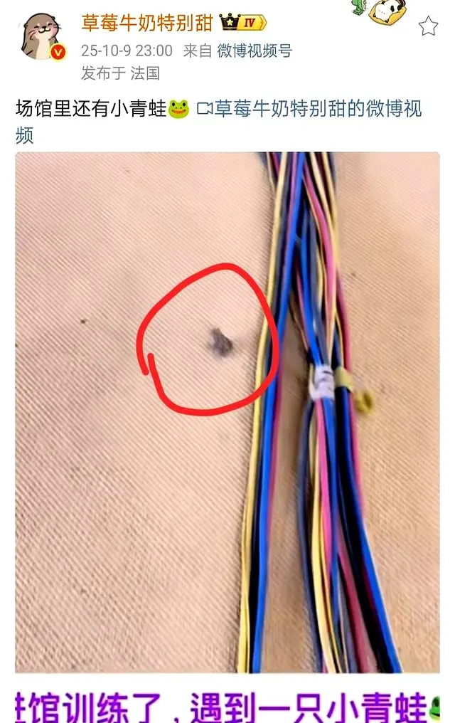 img, 团队的凝聚, class img, 团队的凝聚, class