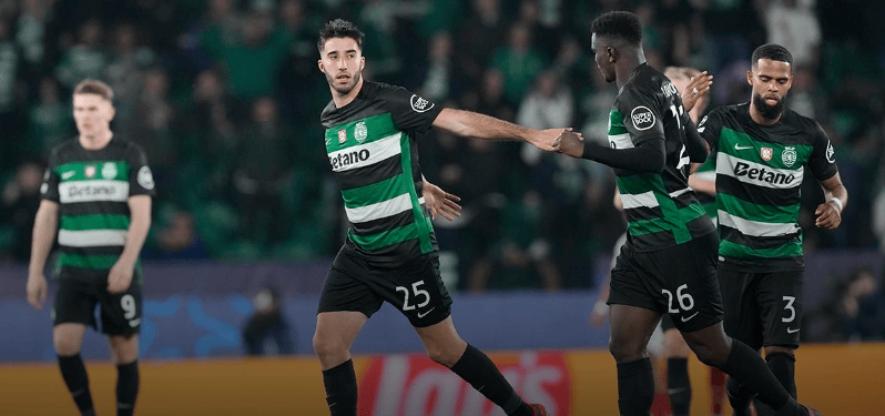 引了欧洲各 引了欧洲各