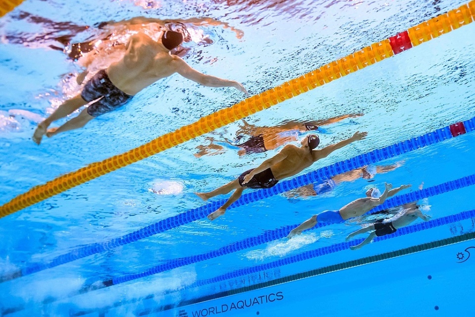 上肢的力量, 泳姿怎样先 上肢的力量, 泳姿怎样先