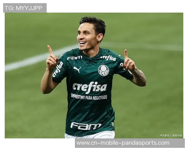 帕尔梅拉斯与博塔弗戈激战正酣比赛结果引发球迷热议