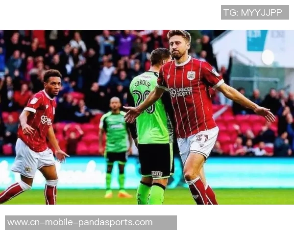 谢菲联对沃特福德精彩直播全程回顾与赛后分析